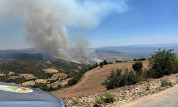 Manisa-Uşak il sınırında çıkan yangını söndürme çalışmaları sürüyor