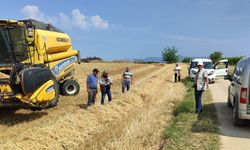 Manisa'da yüzde 75 hibe destekli arpa hasadı başladı