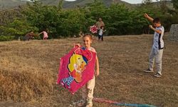 Manisa'da Geleneksel Uçurtma Şenliği renkli görüntülere sahne oldu