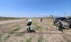 Turgutlu’da Kurban Bayramı için hazırlıklar sürüyor