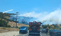 İzmir’de makilik ve otluk alanda yangın çıktı