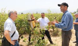 Büyükşehir ve Alaşehir Belediyesi dolu yağışından etkilenen çiftçinin yanında