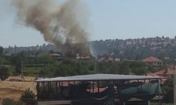 Manisa'da samanlıkta çıkan yangında tütün, buğday ve samanlar kül oldu