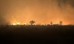 Manisa'da gece saatlerinde korkutan yangın