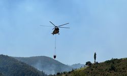 Uşak'taki orman yangını kontrol altında