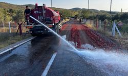 İzmir'deki yangını söndüren itfaiye erleri, Manisa'da yola saçılan domatesleri temizledi