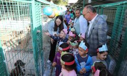 Turgutlu’da sokak hayvanları sahiplendirilecek