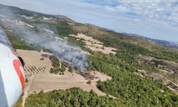 Manisa'da tarım arazisinde çıkan yangın ormanlık alana sıçradı