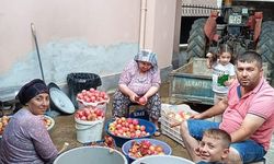 Manisa'da nar ekşisi yapımına başlandı