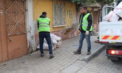 Turgutlulu ihtiyaç sahiplerinin odunları park ve bahçelerden