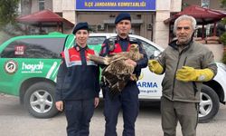 Manisa jandarma Kızıl Şahin’e sahip çıktı