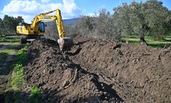 Manisa'da tarım arazileri koruma altında