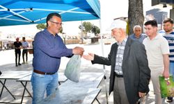 Alaşehir'de üreticilere yerli tohumdan fide desteği