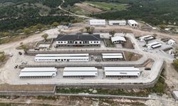 Yunusemre'de Hayvan Yaşam Merkezi açılıyor