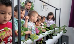 Manisalı minikler topraksız tarımla üretim yapıyor