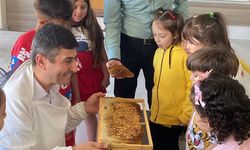 Manisalı minikler arılarla tanıştı
