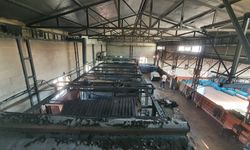 Manisa'daki halı fabrikasında yangın