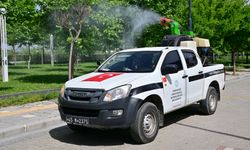 Büyükşehir, 17 ilçede haşereyle mücadele ediyor