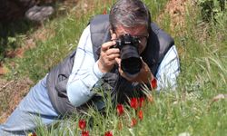 Fotoğraf tutkunları Spil'e akın etti