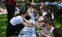 Manisa'da binlerce tohum toprakla buluşacak