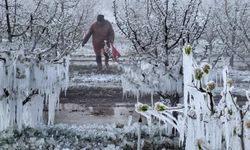 Zirai Don Meclis Araştırma Komisyonu toplanıyor
