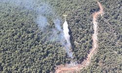 Manisa'da Yunusemre'ki orman yangını kontrol altına alındı