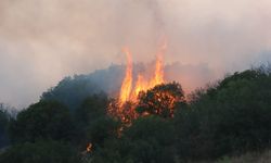 Kula’da makilik alanda yangın