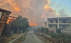 İzmir’de orman yangını kontrol altına alındı