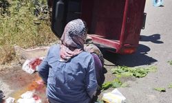 Manisa'da bağdan dönen kadınlar kaza yaptı