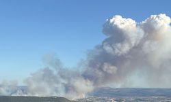 Manisa Yunusemre'de korkutan orman yangını!