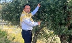 İYİ Partili başkandan 'Zeytin Yasası'na tepki!