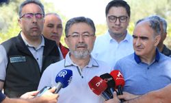 Akhisar'daki yangına müdahale sürüyor