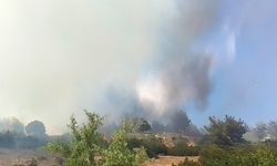 Manisa'da yeni bir yangın daha başladı
