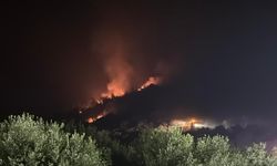 Manisa'daki orman yangınları hala kontrol altına alınamadı