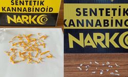 Manisa'da 2 torbacı yakalandı