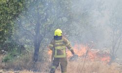 Balıkesir itfaiyesinden Manisa ve İzmir yangınlarına destek