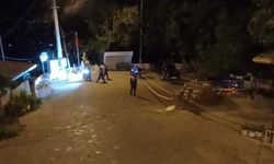 Arazi kavgasında üç kardeş cinayete kurban gitti