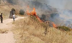 Gördes'teki yangına havadan ve karadan müdahale sürüyor