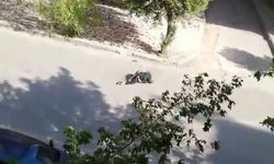 ÖZEL HAREKAT POLİSİNİ VURAN ŞAHIS ETKİSİZ HALE GETİRİLDİ!