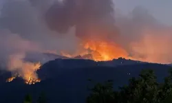 11 orman işçisi şehit oldu