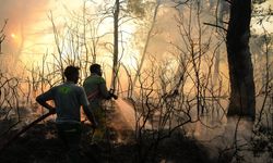 Orman yangınlarıyla ilgili 10 kişi tutuklandı