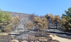 Şehzadeler'deki yangınla ilgili bir kişi tutuklandı