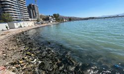 İzmir Körfezi'nin kokusu yurttaşı bezdirdi