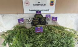Manisa'da 7 ilçede uyuşturucu operasyonu