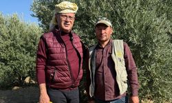 Başkan Öküzcüoğlu zeytin hasadına katıldı
