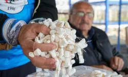 Manisa’nın “tohum dede”si Tarım Fuarı’nda