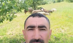Manisa'da çobanlık yapan adam bir avcı tarafından vuruldu