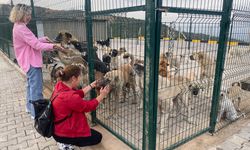 Manisa'ya yeni bir doğal yaşam merkezi açıldı