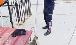 Manisa'da bacaya sıkışan kedi kurtarıldı
