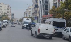 Manisa’da sokak hayvanlarına yönelik tartışmalı toplama işlemi!